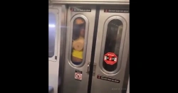 【迷惑動画】ニューヨークの地下鉄が自由過ぎる…このバカップルを誰も止めない…の画像