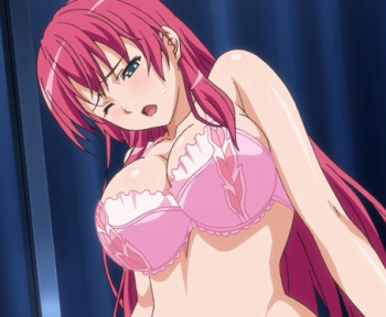 【アニメ】！！濃厚白濁発射！！ランジェリー姿のエロ美女が発情してビンビンな肉棒をメス穴に挿入！の画像