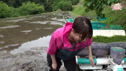 【エロ画像】岡田桃佳アナ　田植えで前かがみ、胸チラ、谷間チラを連発！！【GIF動画あり】の画像