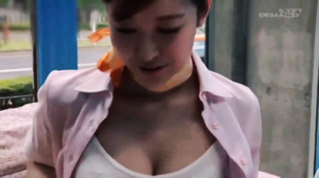 美麗スチュワーデス誘惑の夜 即発情セックス＆激しいオナサポの画像