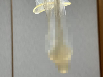 【閲覧注意】精エキいっぱい出たから見てwwwwwwwwwwwwwwwwwの画像