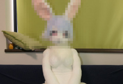 【画像】新潟のラブドールメーカー、マニアックすぎるも売り切れ続出wwwwwwwの画像