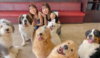 【画像】デカイーヌカフェ、行きたすぎるWWWWWWWWWWWWの画像