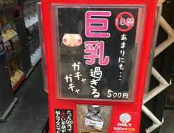 【画像】大人のガチャガチャ、楽しそうすぎる?ｗｗｗｗｗｗｗｗｗの画像