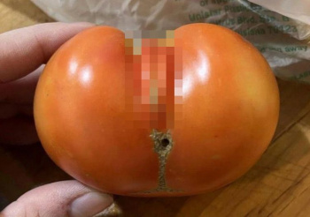 【画像】女の子すぎるトマトが発見されるｗｗｗｗｗの画像