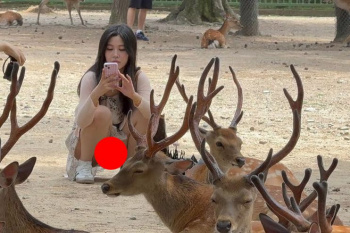 【画像】奈良公園、パンツ丸見えで工ロすぎるｗｗｗｗｗｗｗｗｗｗｗの画像