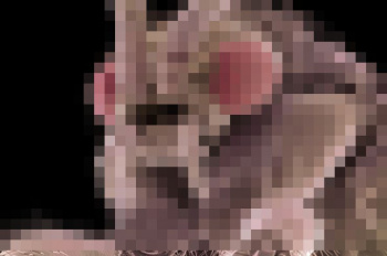 【閲覧注意】顕微鏡で見たハエさん、完全にラスボスｗｗｗｗｗｗｗｗの画像