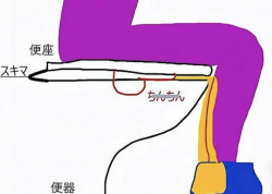 【画像】座りション、これがあるから怖いｗｗｗｗｗｗｗｗの画像