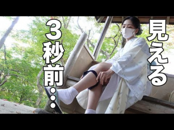 【しろねこみゃあこ】野外で解放してしまいました...の画像