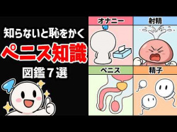 【アニメ解説】知らないと後悔する男性の性知識7選の画像