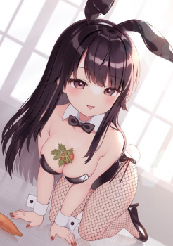 【非・微エロ】魅惑的バニーガールたちの二次画像集 その１８の画像