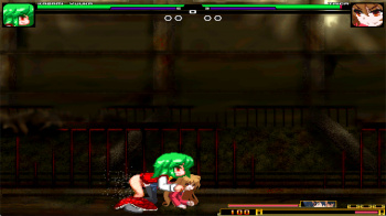 mugen 風見幽香 vs 逢坂大河の画像