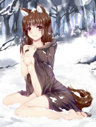 【画像】異世界で即セックス確定の、獣耳娘のシコれるイラストの画像