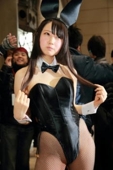 定番のバニーガールコスプレイヤー達のエロ画像の画像