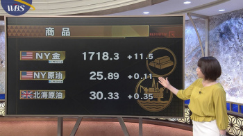 相内優香アナ　薄っすらと透ける！の画像
