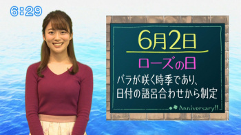 澤井志帆アナ　ニット乳！の画像