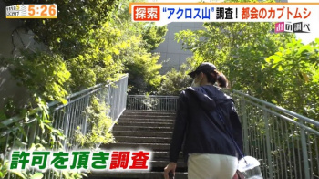 小野彩香アナ　お尻にパン線！！の画像