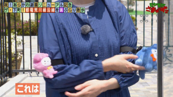 田中瞳アナ　モヤモヤさまぁ～ず2の画像