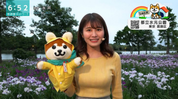 お天気お姉さん　巨乳がニットでくっきり！！の画像