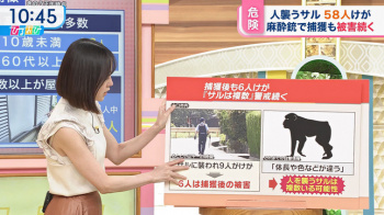 若林有子アナ　肩紐モロ見え、ノースリーブ！！【GIF動画あり】の画像