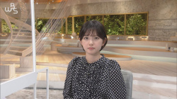 田中瞳アナ　ワールドビジネスサテライトの画像