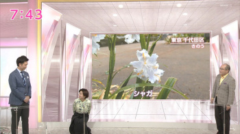 森下絵理香アナ　おはよう日本の画像