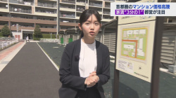 田中瞳アナ　レポートで胸がユサユサと揺れる！！【GIF動画あり】の画像