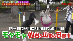 田中瞳アナと大江麻理子アナ　逆上がりのお尻、開脚！！【GIF動画あり】の画像