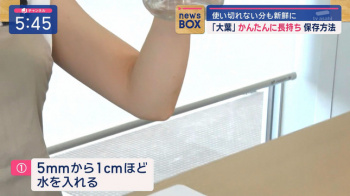 田原萌々アナ　ムチムチな二の腕と脇！！の画像