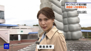 豊島実季アナ　サタデーウオッチ9　NHKニュースの画像