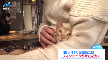 トラウデン直美キャスター　猫を抱く巨乳、横乳、乗せ乳！！【GIF動画あり】の画像