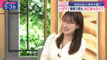 森山みなみアナ　谷間がチラ見え！！【GIF動画あり】の画像