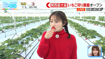 佐藤佳奈アナ　いちご狩りレポート！の画像