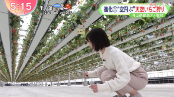 河出奈都美アナ　しゃがんだお尻にパン線が浮き出る！！の画像