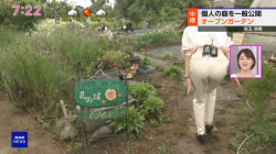 大谷舞風アナ 生中継でまさかのお尻にパン線くっきり!!【GIF動画あり】の画像