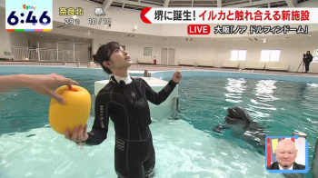 佐藤佳奈アナ　ウェットスーツでイルカと泳ぐ！！の画像