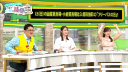 皆藤愛子アナ ノースリーブで脇全開ポーズ!!の画像