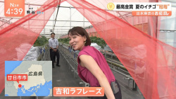 出水麻衣アナ　ブラ紐が見えてしまうハプニング！！の画像