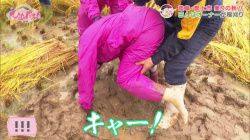 森田茉里恵アナ　田んぼにハマって後ろから抱えられるハプニング！！【GIF動画あり】の画像