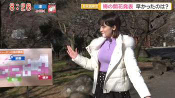 今井春花キャスター　ニットの巨乳がくっきり天気予報！！の画像