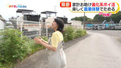 高崎春アナ　お尻くっきりレポート！！【GIF動画あり】の画像