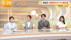 石渡花菜アナ　半袖ニットの乗せ乳！！の画像