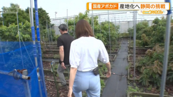 住田紗里アナ　ピタパンでお尻くっきりレポート！！【GIF動画あり】の画像