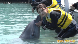 宇賀なつみアナ　ウエットスーツでイルカと泳ぐ！！の画像