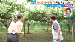 佐々木舞音アナ　セクシー食レポ！！の画像