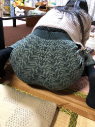 【画像】実家にいる姉ちゃんのケツがデカすぎて邪魔なんだがｗｗｗｗｗｗｗｗｗの画像