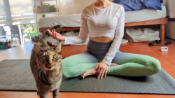 【画像】女性猫Youtuberさん、おっぱいとお尻で再生数がうなぎ登りwwwwwwwwwwwwの画像