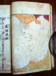 【画像あり】江戸時代の人が描いた女性の自慰行為がリアルすぎるの画像