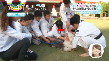 【画像】柔道ＪＫさん、テレビ生放送でがっつり胸チラしてしまうｗｗｗｗｗｗｗｗｗの画像