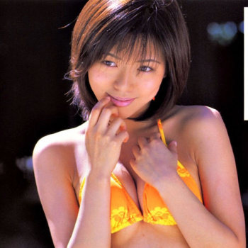 釈由美子 画像644枚【水着】の画像
